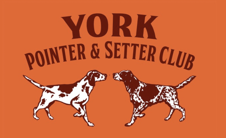 Perfdog Logo - Geometric Wallpaper Collection - 8K Quality